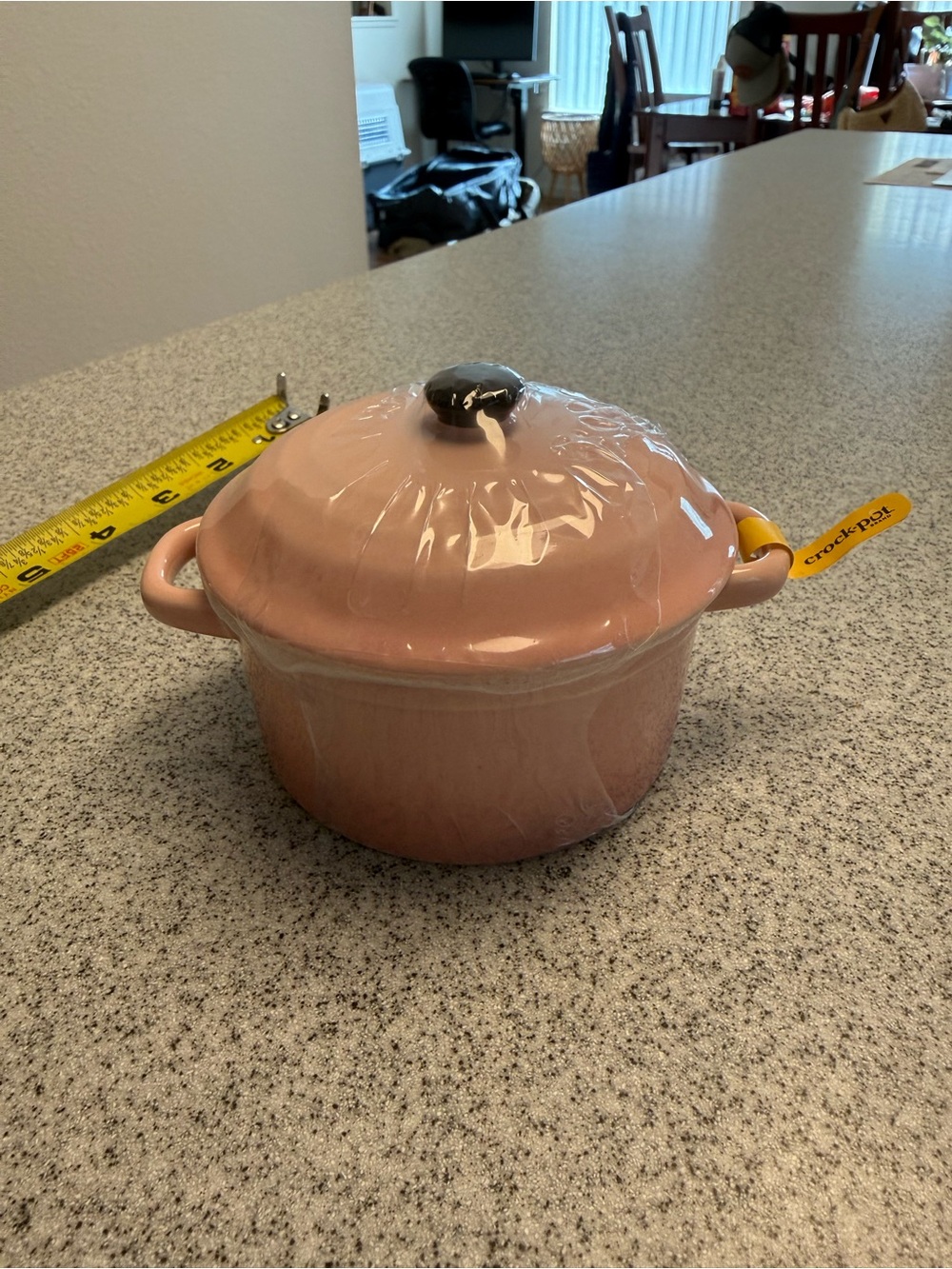 Mini Crock Pot